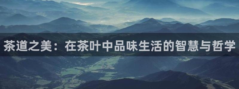 鸿运卡回收平台