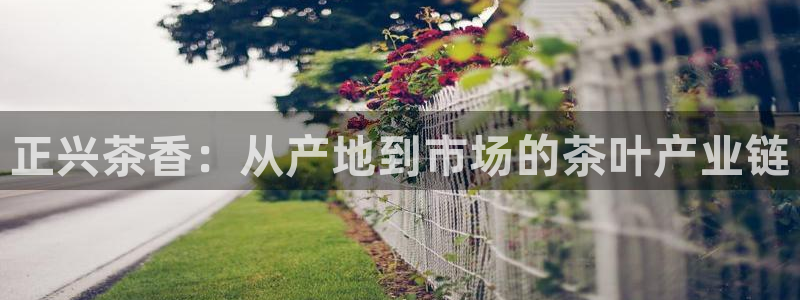 鸿运主播平台