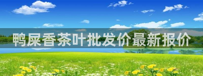 鸿运当头平台画