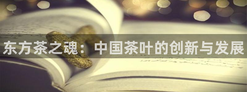 鸿运网络麻将平台