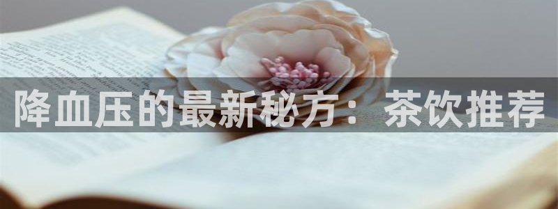 鸿运游戏平台投注