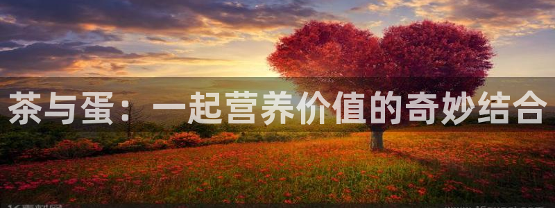 鸿运游戏直播游戏平台