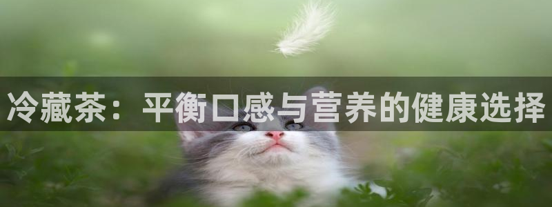 澳门鸿运赌场平台