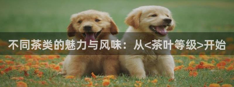 鸿运合拍字画拍卖平台