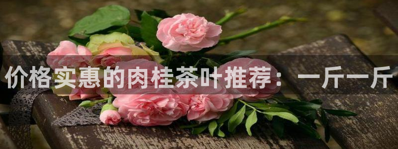 鸿运平台