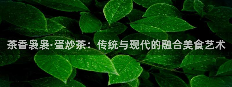 鸿运国际娱乐平台