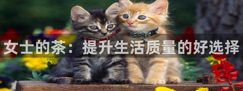 鸿运连连平台
