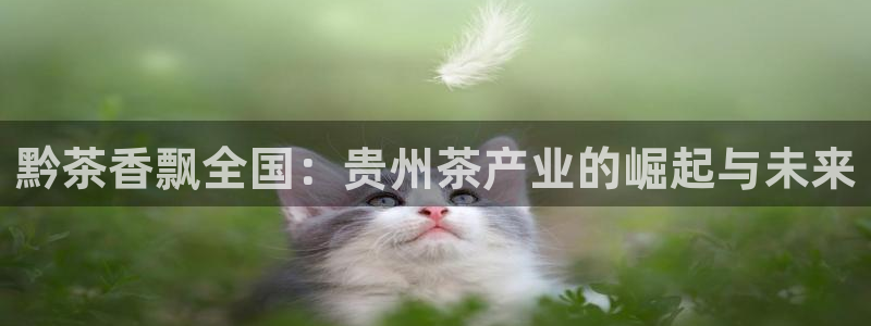 鸿运平台进入官网