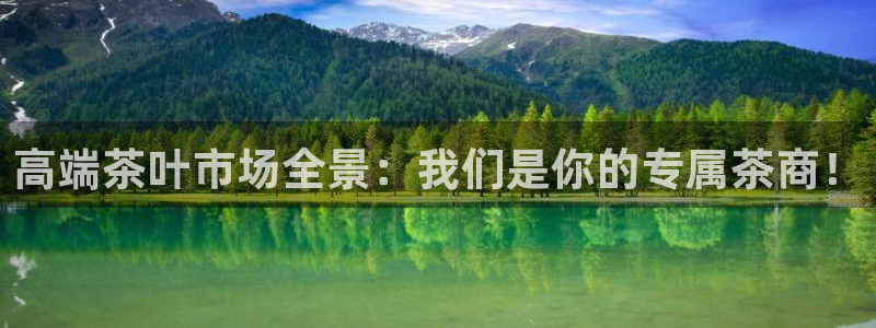 鸿运网彩票平台