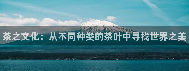 鸿运游戏棋牌平台