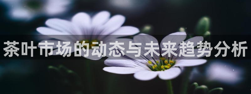 鸿运直播彩票平台
