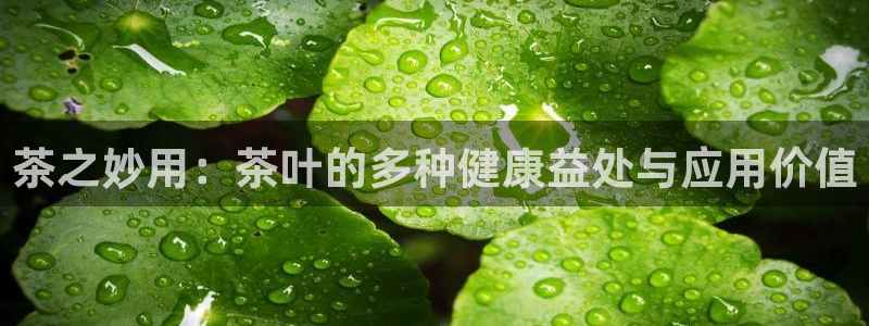 鸿运彩票平台登入