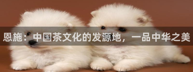鸿运资本平台被骗