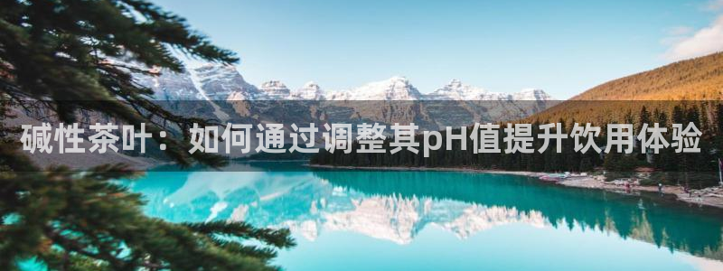 鸿运手游平台