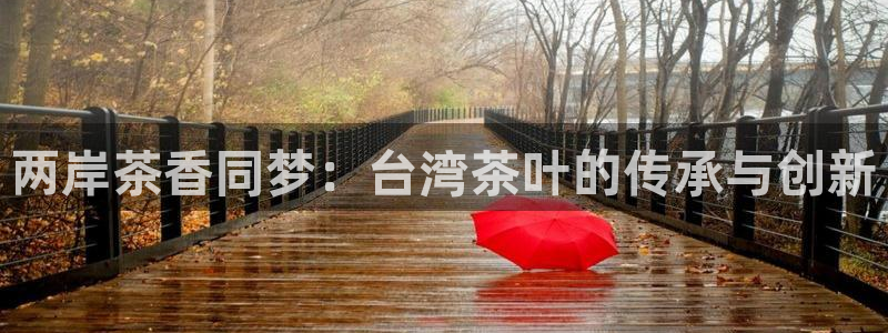 鸿运国际娱乐平台