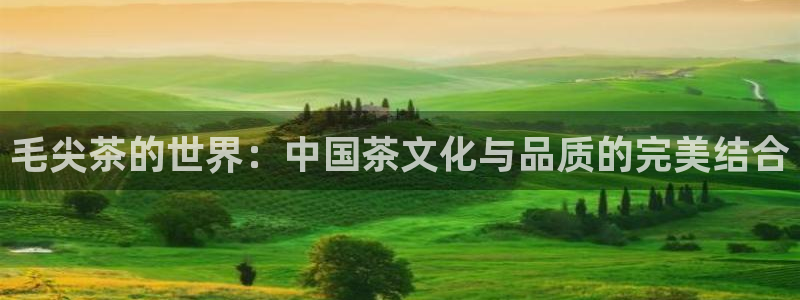 鸿运滚滚抽奖平台