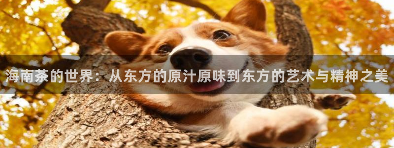 鸿运当头平台画