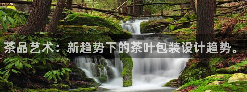 鸿运福星缴费平台