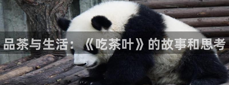 鸿运平台真假
