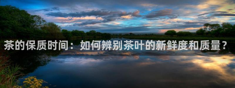 琥珀鸿运彩票平台