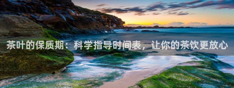 鸿运平台审核需要多久