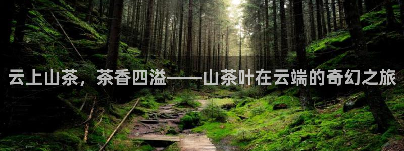 鸿运彩票平台怎样下载