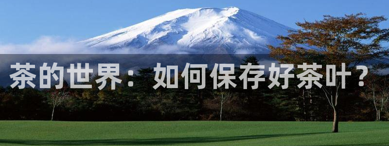 鸿运在线平台