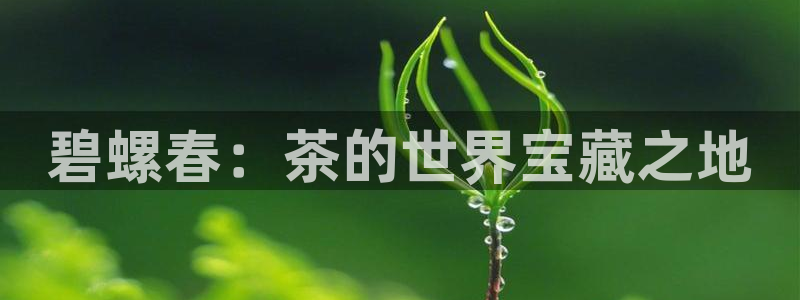 鸿运平台进入登录界面