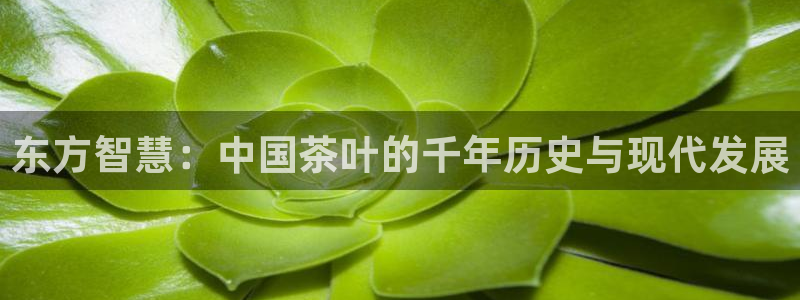快手平台鸿运当头