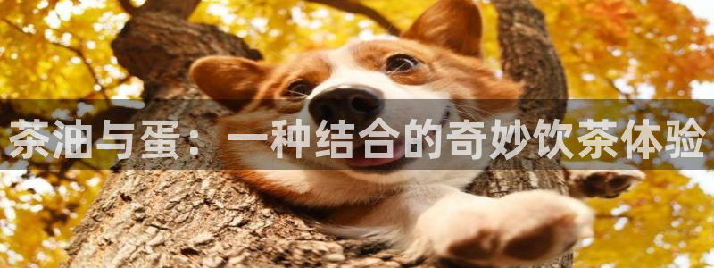 彩鸿运平台