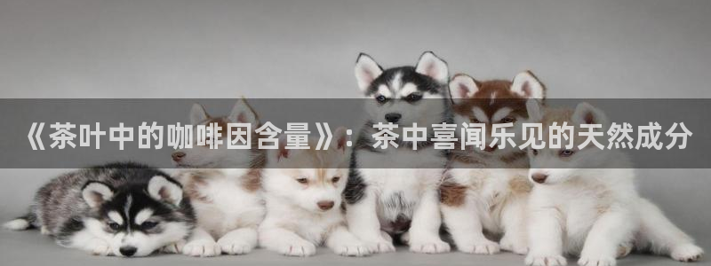 鸿运国际时时彩平台