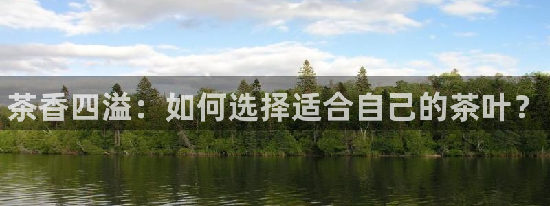 鸿运当头平台画