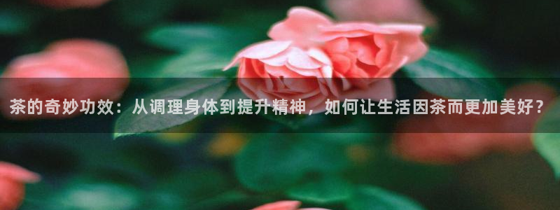 鸿运海鲜团购平台