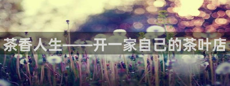 鸿运团队赚钱平台