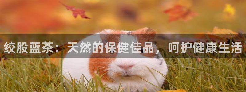鸿运在线投资平台