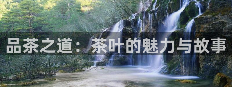 鸿运手机团购平台