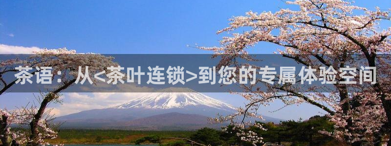 鸿运彩票平台怎样