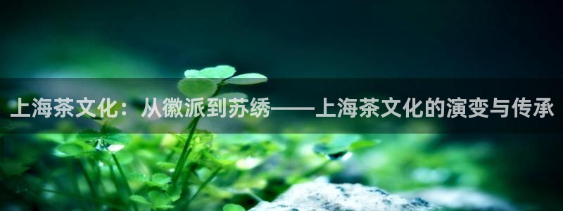 鸿运自助卡密平台