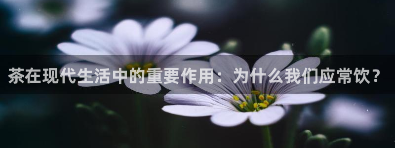鸿运外贸直播平台