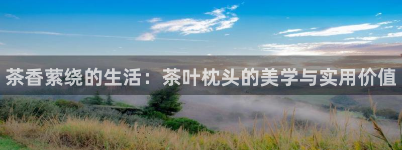 鸿运到游戏直播平台