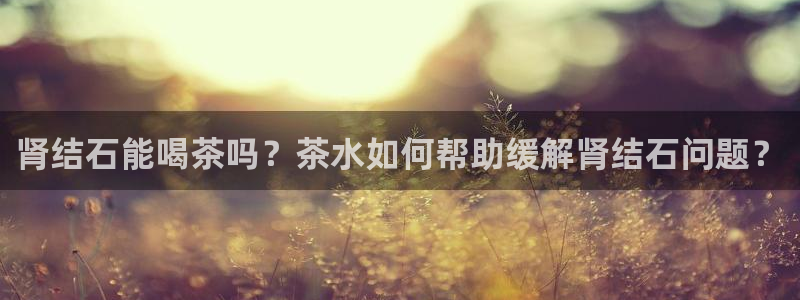 新鸿运股票平台