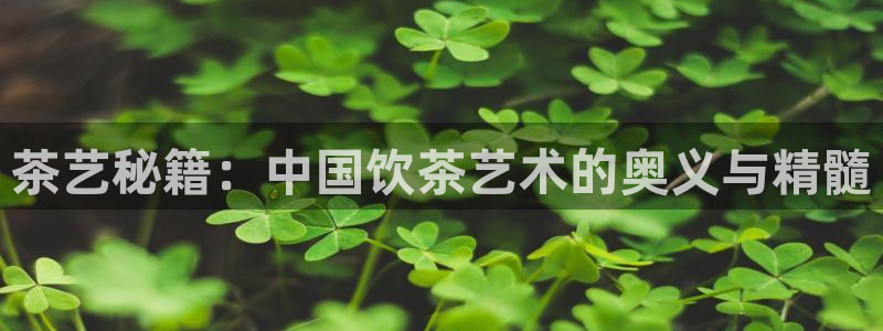 鸿运宝投资理财平台
