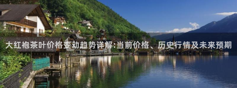 鸿运通平台