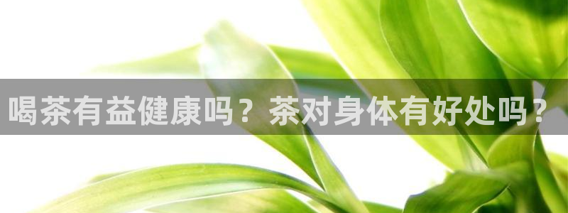 鸿运聊天计划平台