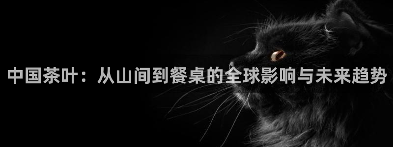 鸿运卡盟平台链接