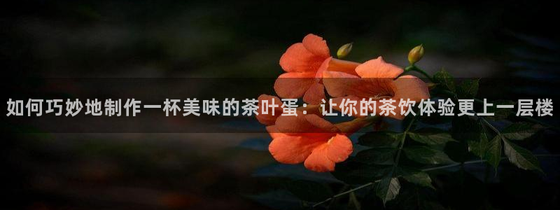 鸿运平台代理鸿运