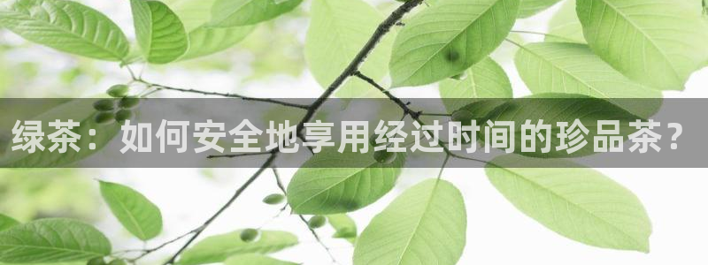 鸿运手游平台