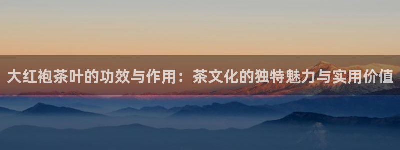 琥珀鸿运是个国际平台吗