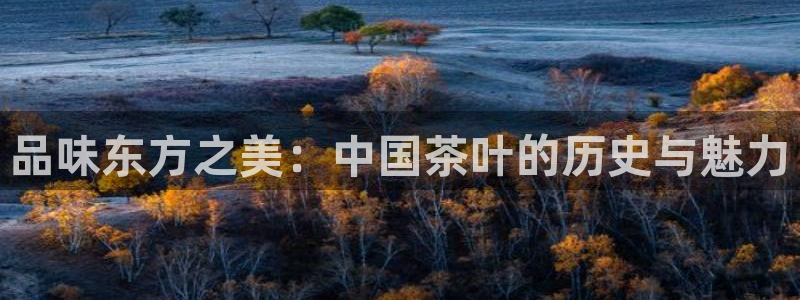 鸿运平台骗局曝光