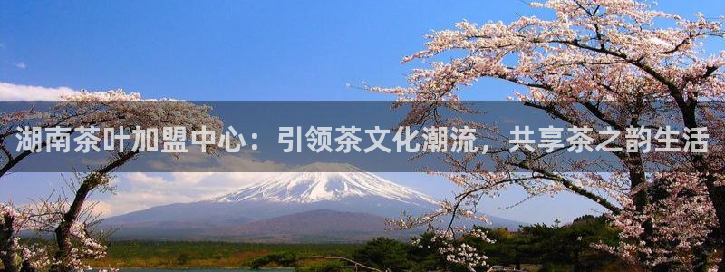 鸿运棋牌平台